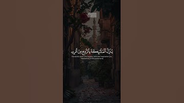 {سُبۡحَـٰنَهُۥ وَتَعَـٰلَىٰ عَمَّا یُشۡرِكُونَ} | محمد صديق المنشاوي | سورة النحل.