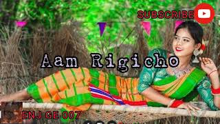 Aam Regi Cho Dulori// New Santali Status Video//Whatsapp Love Status Video screenshot 2
