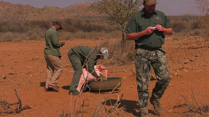 Beyond the Bullseye Project - Saving Wildlife During A Drought