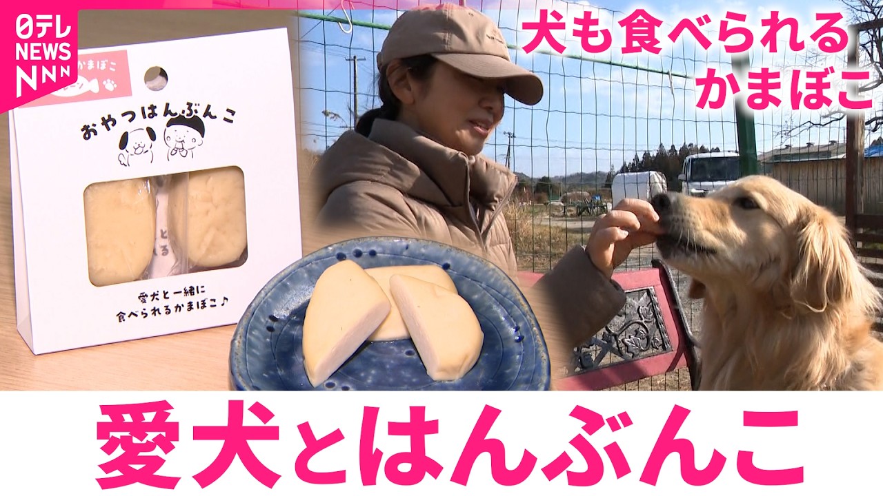 【新商品】人と犬で