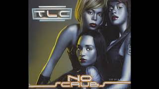 TLC - No Scrubs (T-boz vocal sample)
