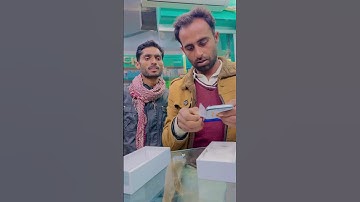 TACNO SPARK 10C | UNBOXING AND REVIEW | 😱🔥