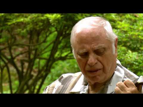 \"საჩინო\" • თემურ ცაგურია