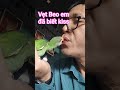 #Vẹt Beo em