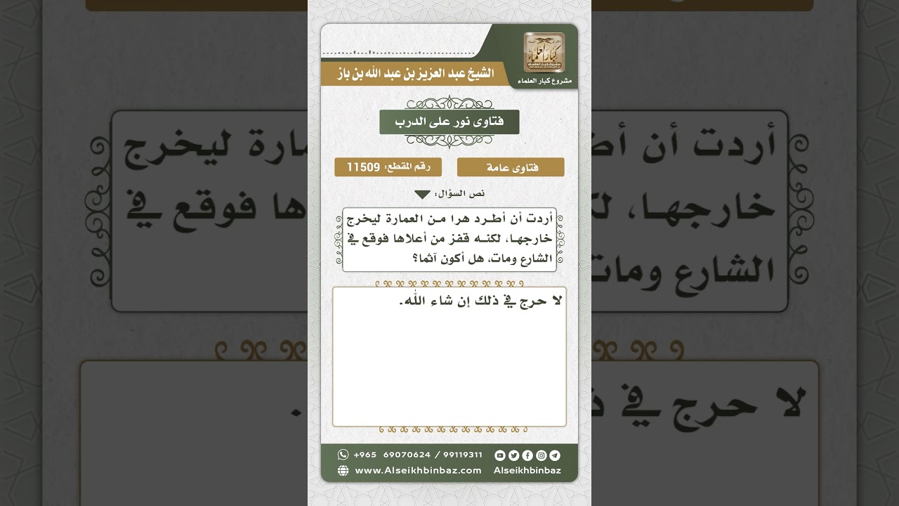 11509 - حكم قتل الهرة خطأ - نور على الدرب