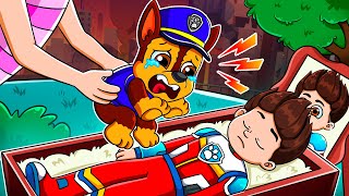 PAW Patrol Ultimate Rescue Missions ⛑💔 Ryder Please Wake Up?! - CHASE Sad Story - Rainbow Friends 3