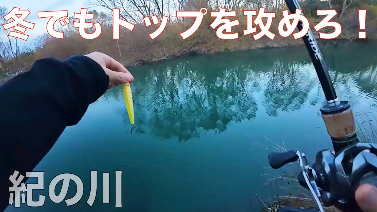 冬でもやっぱりトップウォーターで遊びたい【紀の川】【紀ノ川】