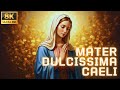 Ave Maris Stella &amp; Ave Maria | Catholic Prayer &amp; Gregorian Chant | Song of Praise to Mary