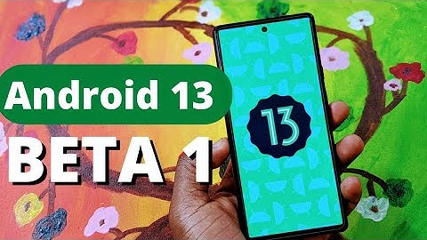 Android 13 Beta 1 Released- New Changes & Features On Pixel 6