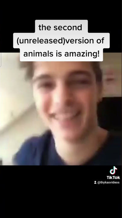 The second version of ANIMALS - MARTIN GARRIX