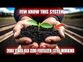 2000 Years Of Food, Zero Fertilizer: Why Modern Agriculture Fears This Ancient System