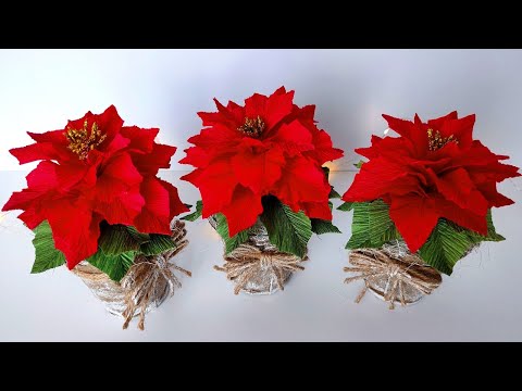 Рождественский Цветок в Торфяном Cтаканчикен. DIY Christmas gift. Christmas crafts