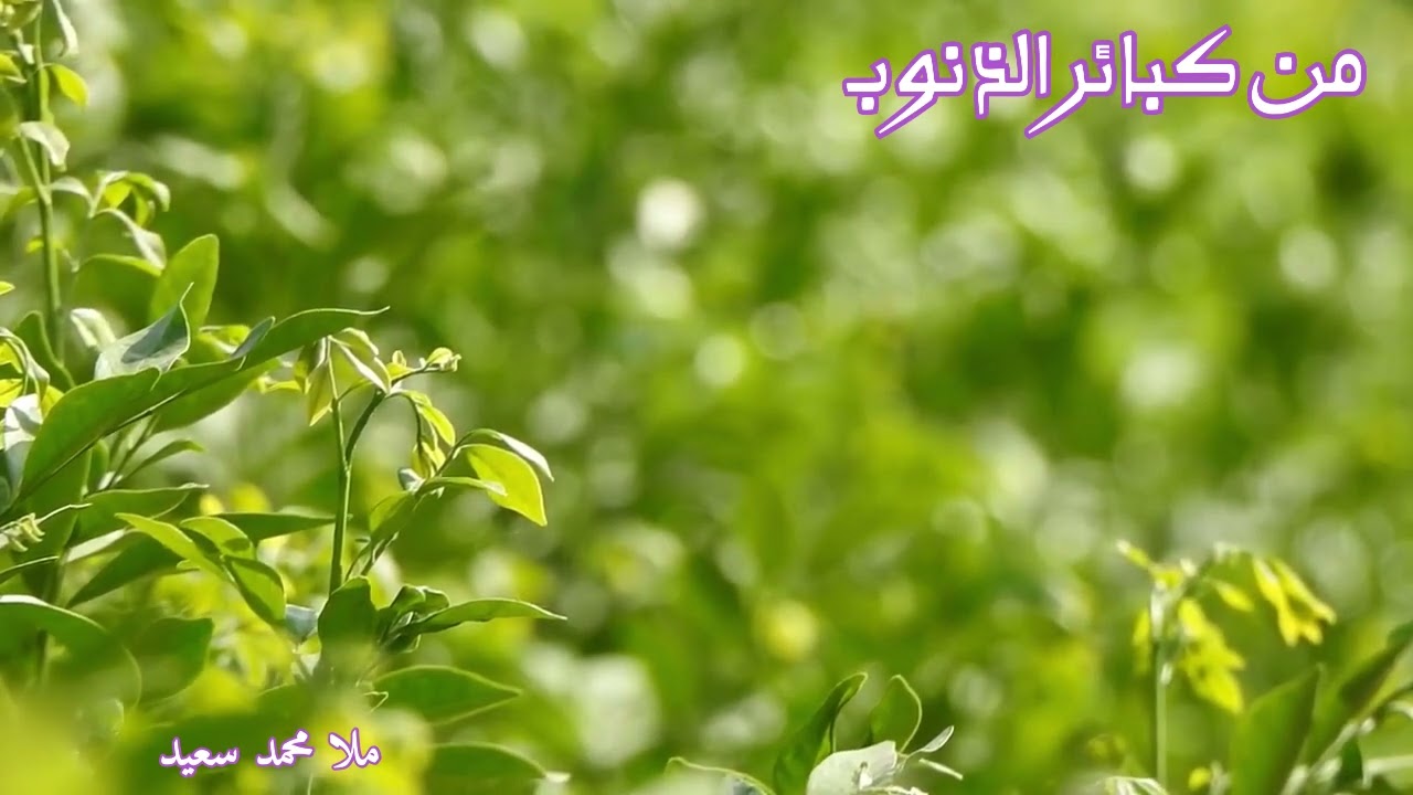 خطبة الجمعة(گوتارا روژا ئەینییێ) ژ گوننەھێن مەزن ، د. محمد سعيد