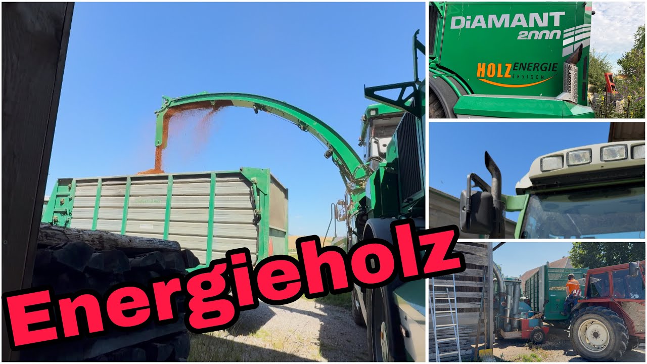 Holzschnitzel für Winter 25/26