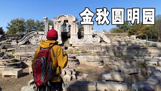 The Golden Autumn Yuanmingyuan, the ruins can also feel the style of the Garden ofTenThousandGardens