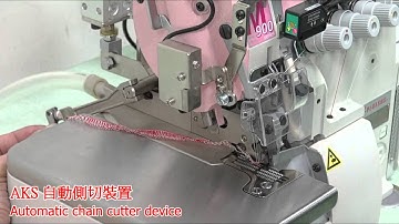 PEGASUS M952/AKS with Hohsing D.D. Servo Motor + W40-1-M9-220 Control Box