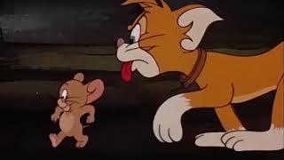 Tom and Jerry cartoon episode 115 - Switchin' Kitten 1961 - Funny animals cartoons for kids