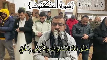 سورة العنكبوت القارئ عمرو اشرف