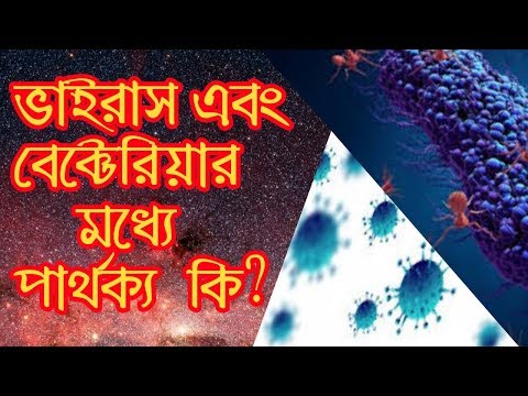 ভিডিও: ইউব্যাকটেরিয়া কোষের প্রকার কী?