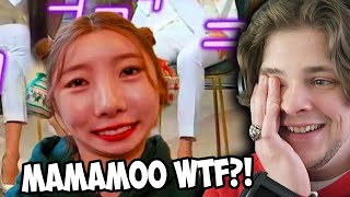 NON KPOP fan reacts MAMAMOO Clips that Confirm the CHAOTIC Energy