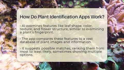 How Do Plant Identification Apps Work? - The Plant Enthusiast