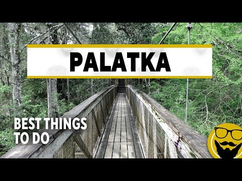 Best Things to Do in Palatka, Florida // Blooming Azaleas at Ravine Gardens 2022