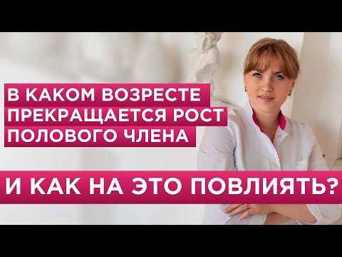 Когда половой член прекращает рост? Как на это можно повлиять.