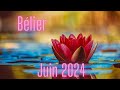 Blier juin 2024  un voeu exauc 