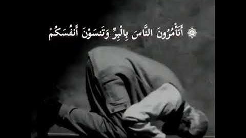 عبدالرحمن مسعد | حالات واتس اب دينية سورة البقرة 🥰💛