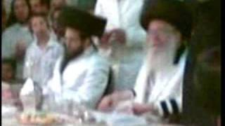 מוהרא"ש ותלמידיו בשיר "יצליח"