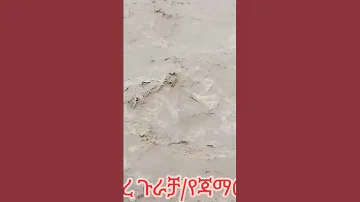 August 12 2025 