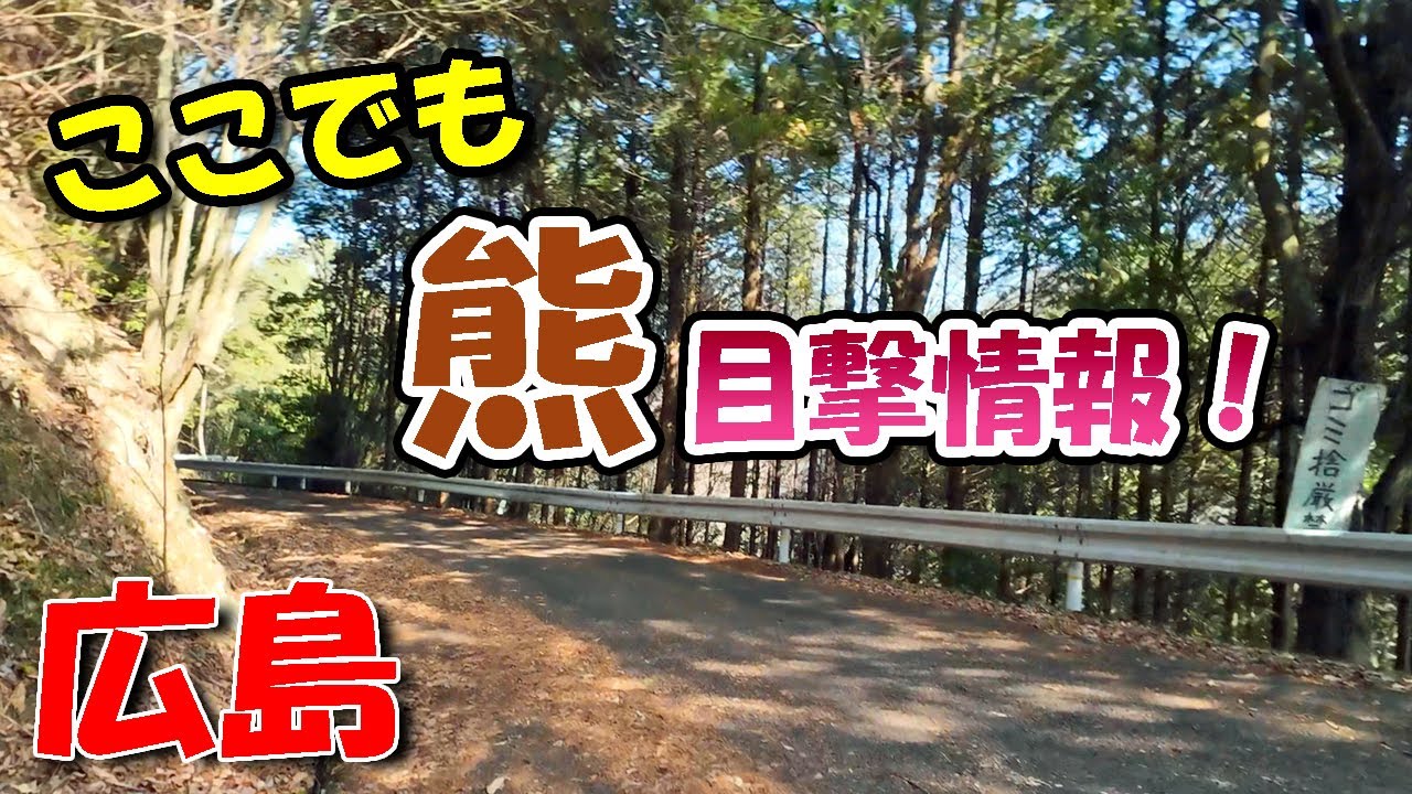 ここでもクマ目撃情報！【 広島ドライブ 】安佐動物公園近く
