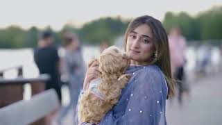 Jay Pat Honda Wak Hony Rah Saday Song