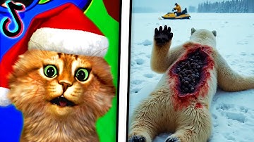 Reacting To The FUNNIEST Videos (TRY NOT TO LAUGH CHALLENGE)