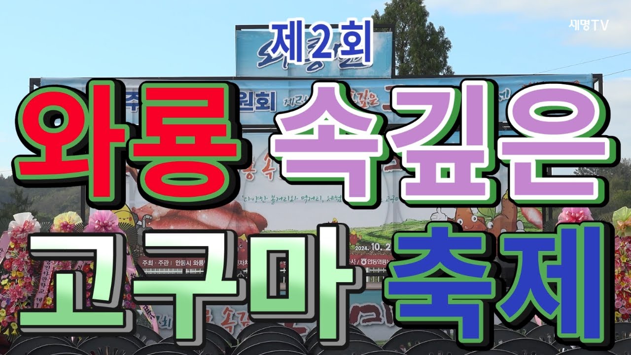 .백년에한번피는고구마꽃고장안동와룡 .제2회 와룡 속깊은 고구마축제