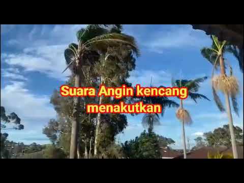 Suara Angin Kencang Menakutkan (Scary howling wind)