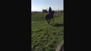 Obos Cooley XC schooling - 9th march