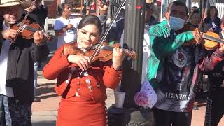 Polka Festiva para Santa Cecilia: Los Mariachis de Los Angeles en Acción