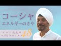 【わかりやすいヨガ哲学入門㊽】コーシャ〜エネルギーの層｜テージ・モンガ博士