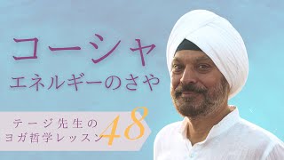 【わかりやすいヨガ哲学入門㊽】コーシャ〜エネルギーの層｜テージ・モンガ博士