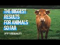 The Biggest Moments For Animals In The First Half Of 2022
