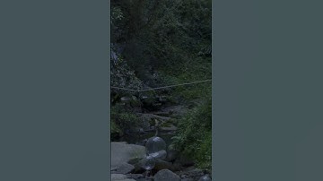 bubble animation #blendertutorialforbeginners #bubbles #animatedshorts