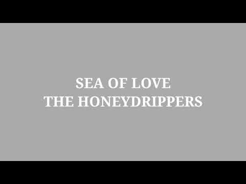 sea of love lyrics & chords