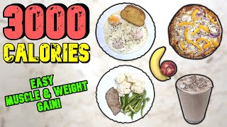 3000 Calorie Meal Plan For MUSCLE BUILDING \& WEIGHT GAIN