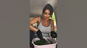 سيرين عبد النور وتبولة في كواليس أغنيتها الجديدة اكسبلور Model ترند اغنية كواليس تصوير News 