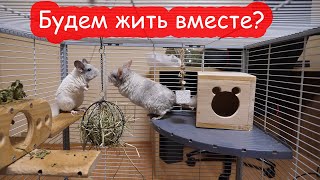 Крош переезжает к Соне