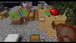 Modded Minecraft - FTB Infinity Evolved Skyblock - E8 Starting AgriCraft