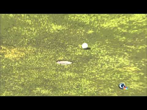 Justin Rose Birdies Number One