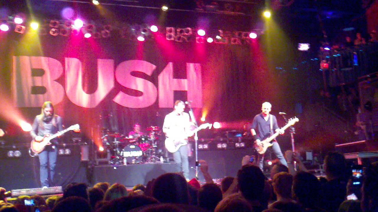 Bush Machinehead 10 14 11 YouTube