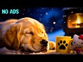15 Stunden sanfte Hundemusik 🐕💖 Linderung von Trennungsangst 🎵 Beruhigende Schlaftherapie #dogzen